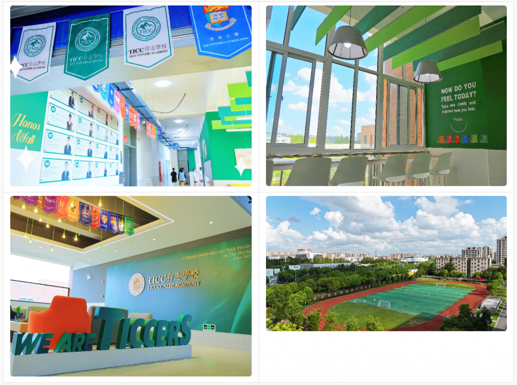 关于TICC存志学校插图,香港DSE,ALEVEL,上海国际高中,DSE,DSE考试