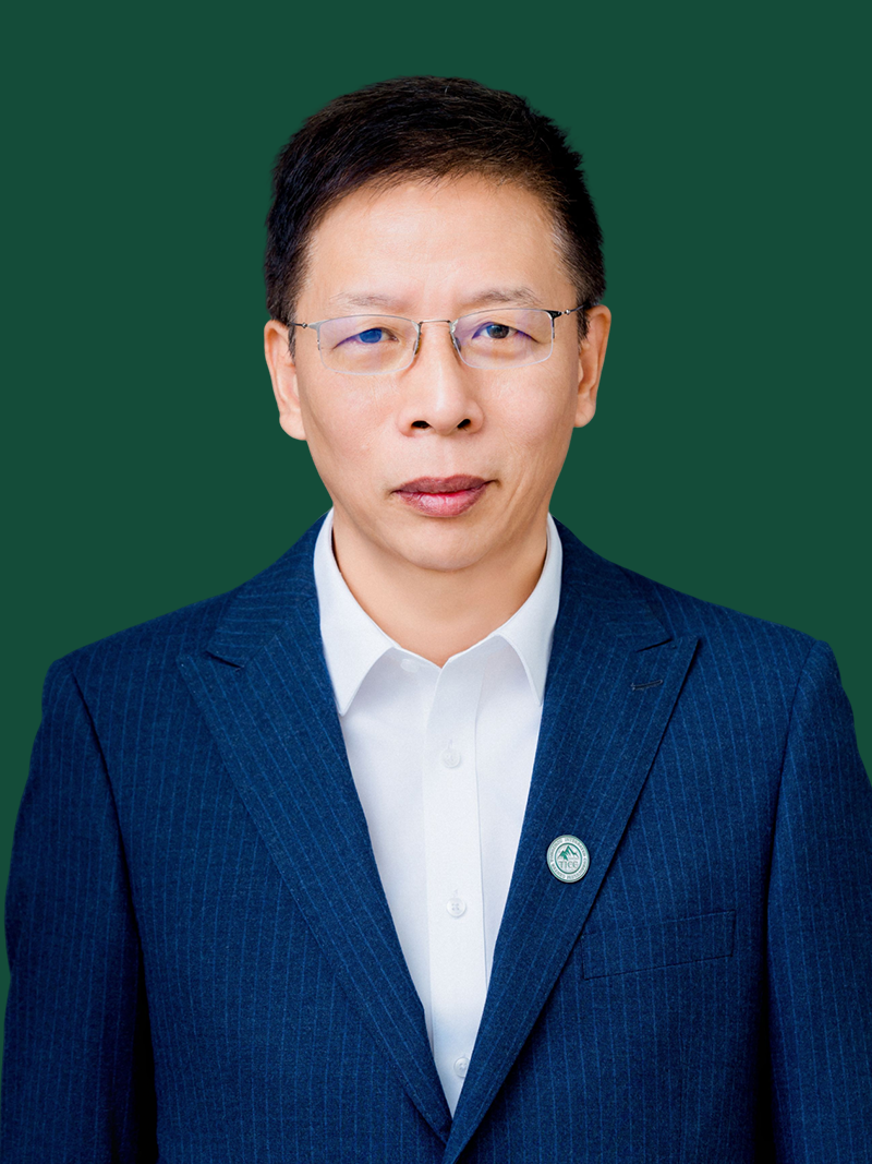 师资介绍插图15,香港DSE,ALEVEL,上海国际高中,DSE,DSE考试