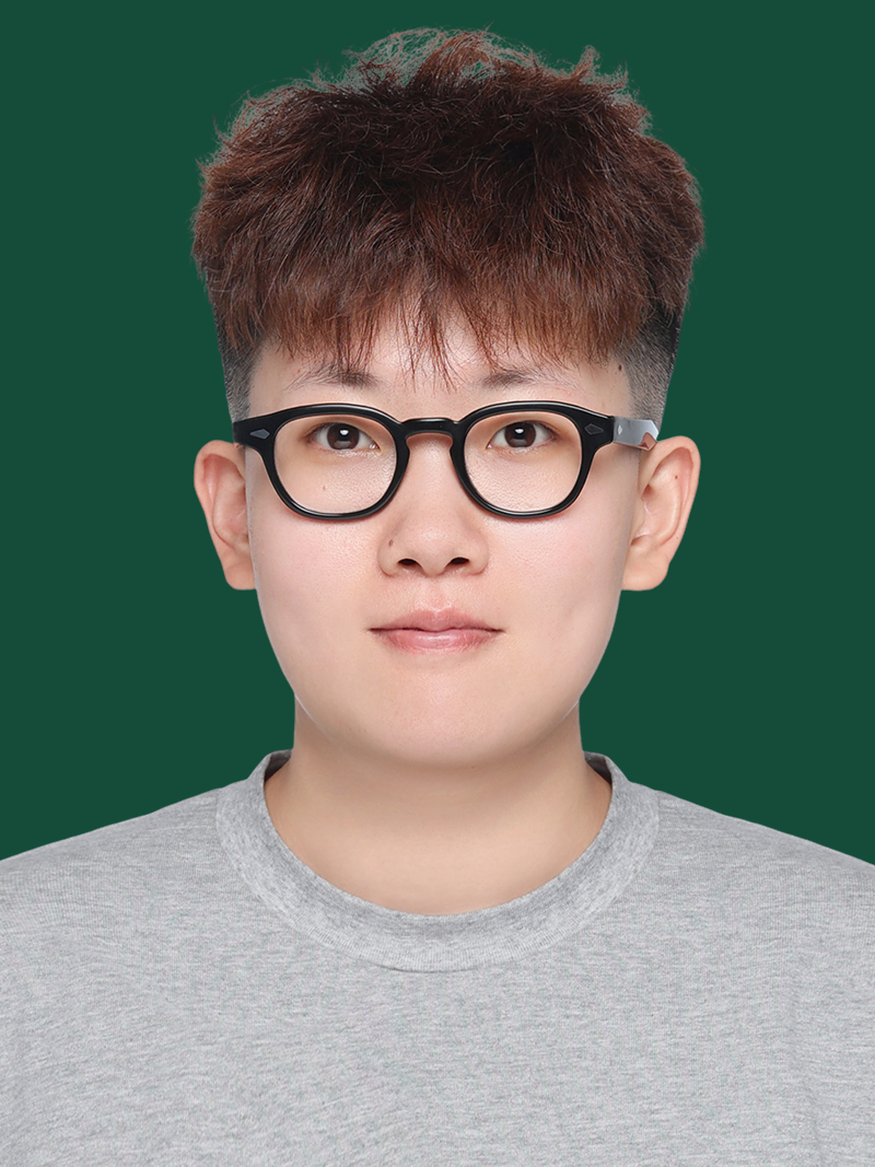 师资介绍插图9,香港DSE,ALEVEL,上海国际高中,DSE,DSE考试