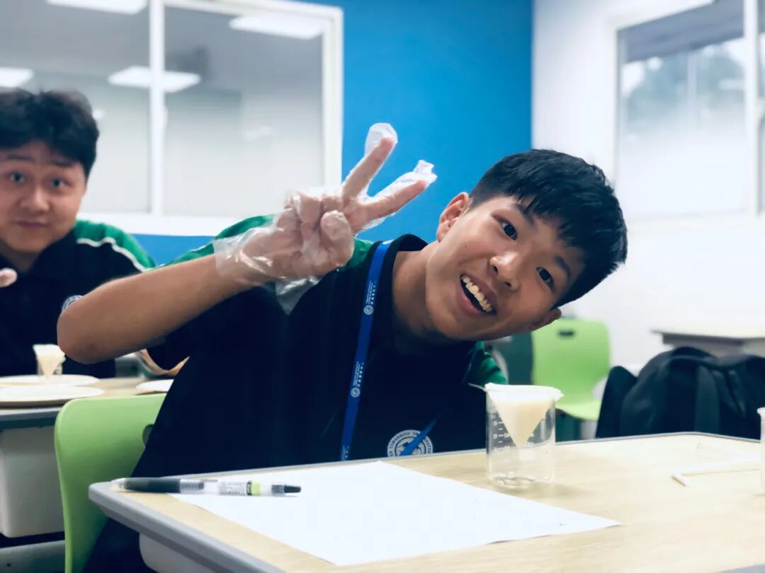 同洲课程 | 来和我们一起”玩蛋”白质吧！插图10,香港DSE,ALEVEL,上海国际高中,DSE,DSE考试
