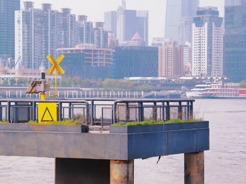 这，是一场有预谋、有规划的学校出逃行动！插图12,香港DSE,ALEVEL,上海国际高中,DSE,DSE考试