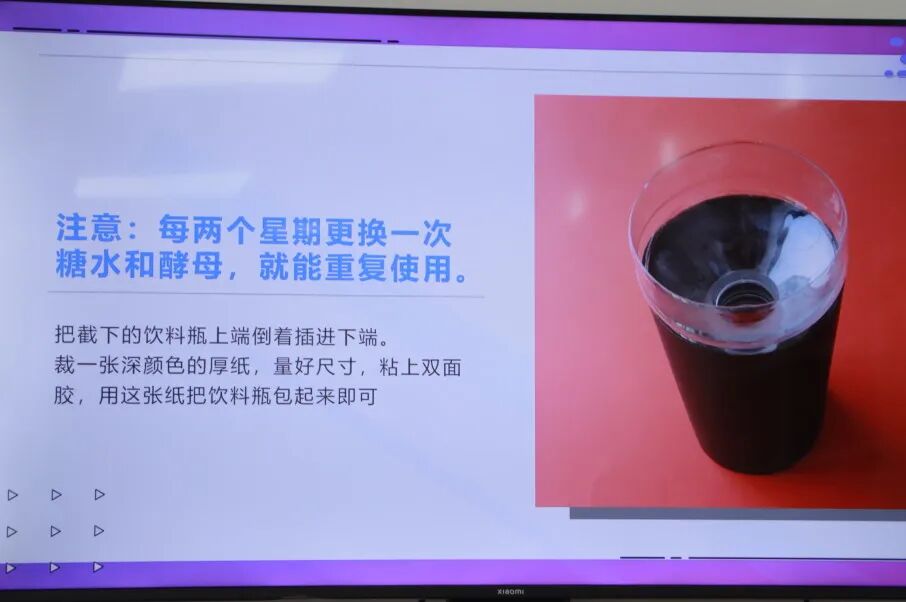 生命教育系列（一）当我们谈及生命教育时，我们都探索些什么插图27,香港DSE,ALEVEL,上海国际高中,DSE,DSE考试