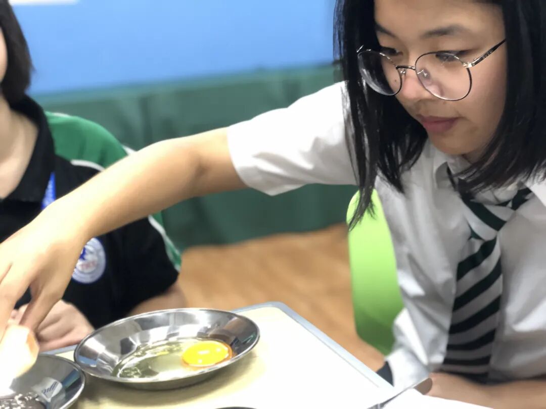 同洲课程 | 来和我们一起”玩蛋”白质吧！插图15,香港DSE,ALEVEL,上海国际高中,DSE,DSE考试