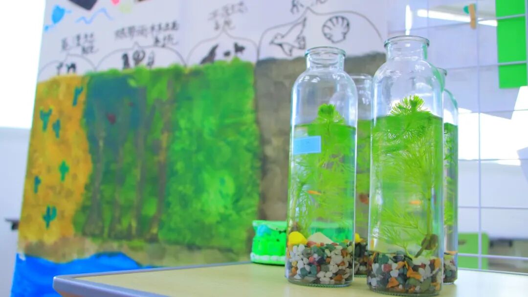 期末汇报展 | 本学期最后一份作业，邀请全校来阅卷插图38,香港DSE,ALEVEL,上海国际高中,DSE,DSE考试