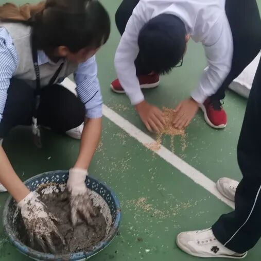 同洲课程 | 来和我们一起”玩蛋”白质吧！插图30,香港DSE,ALEVEL,上海国际高中,DSE,DSE考试
