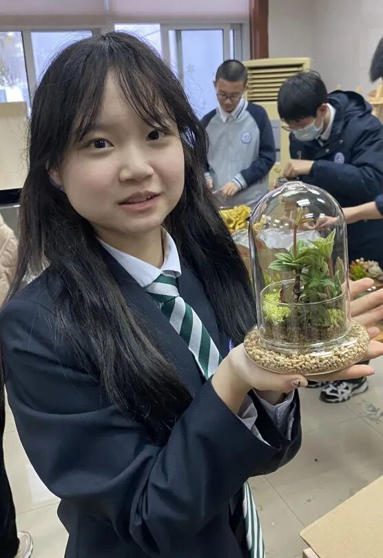 发现栏目 | 今日关键词· 微盆栽：用不一样的方式践行绿色理念插图8,香港DSE,ALEVEL,上海国际高中,DSE,DSE考试