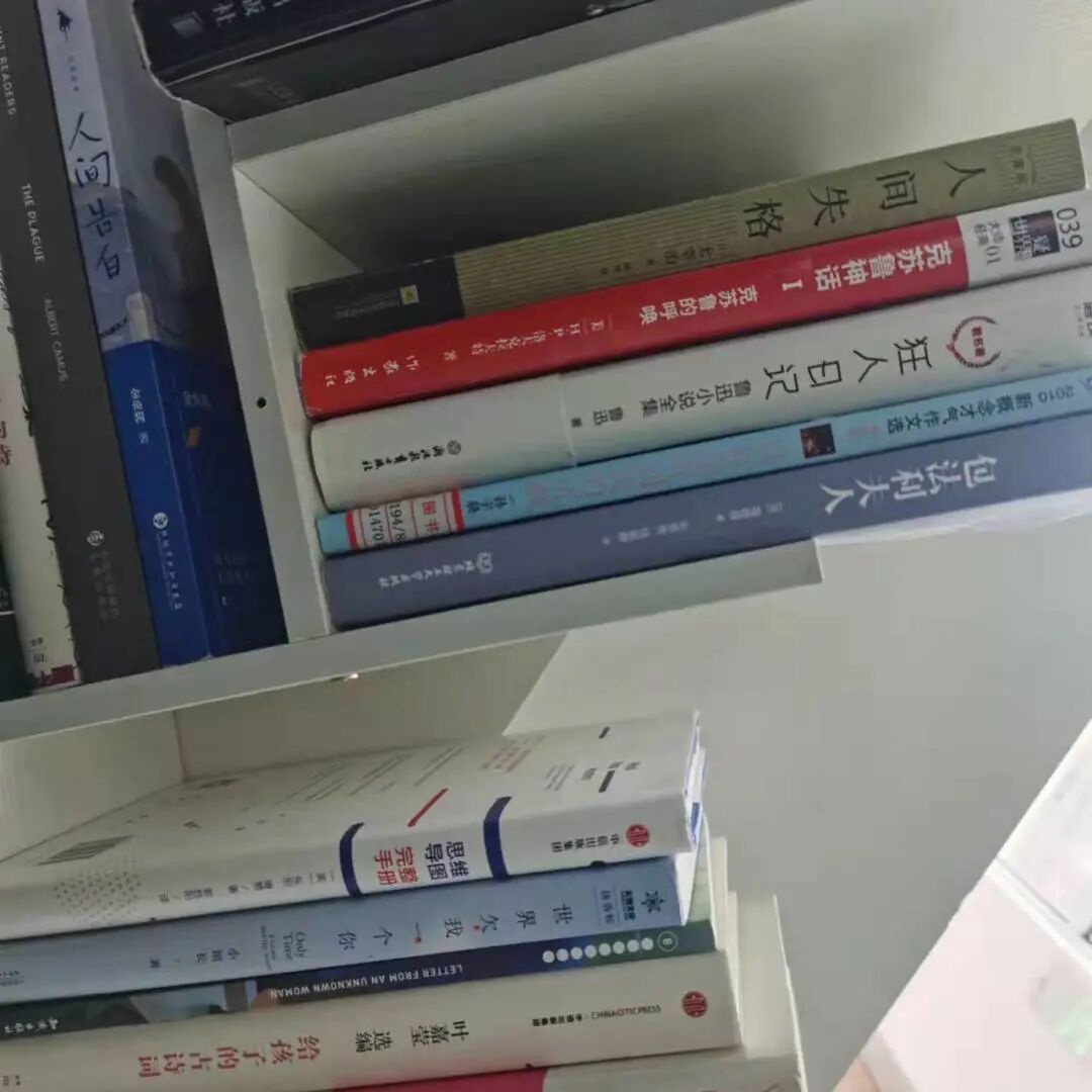 发现栏目 | TICC新推『读书角』 细节见真章插图10,香港DSE,ALEVEL,上海国际高中,DSE,DSE考试