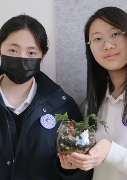 校社联动 | 共推联名款！这几个月，他们干了几件大事插图16,香港DSE,ALEVEL,上海国际高中,DSE,DSE考试