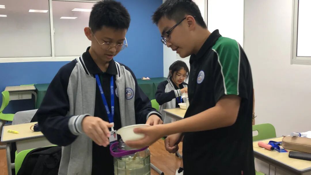 同洲课程 | 来和我们一起”玩蛋”白质吧！插图25,香港DSE,ALEVEL,上海国际高中,DSE,DSE考试