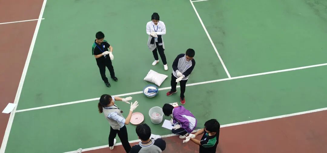 同洲课程 | 来和我们一起”玩蛋”白质吧！插图27,香港DSE,ALEVEL,上海国际高中,DSE,DSE考试
