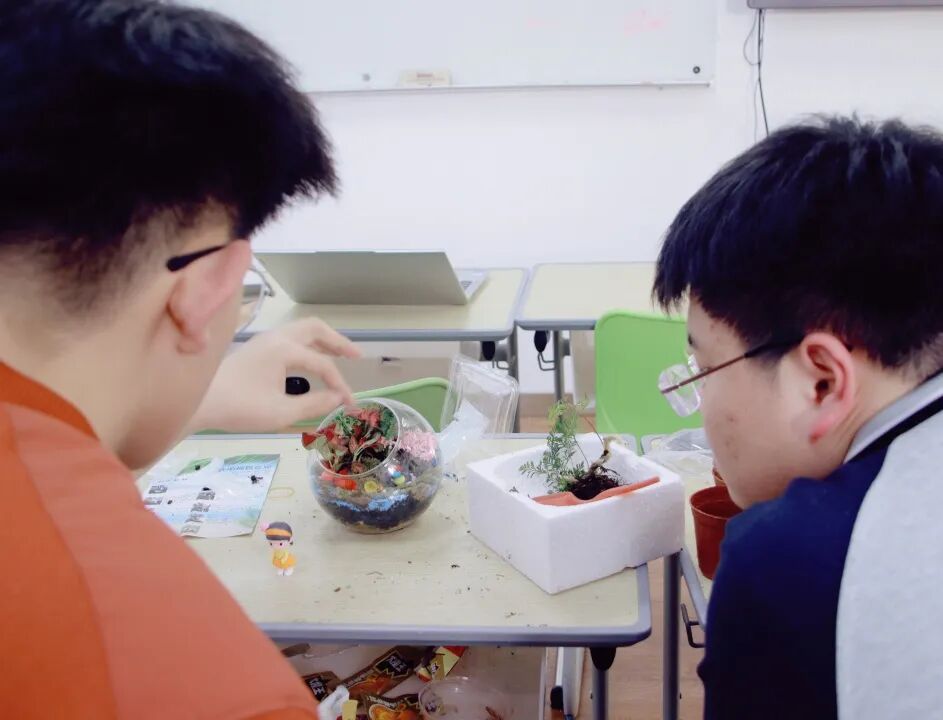 校社联动 | 共推联名款！这几个月，他们干了几件大事插图14,香港DSE,ALEVEL,上海国际高中,DSE,DSE考试
