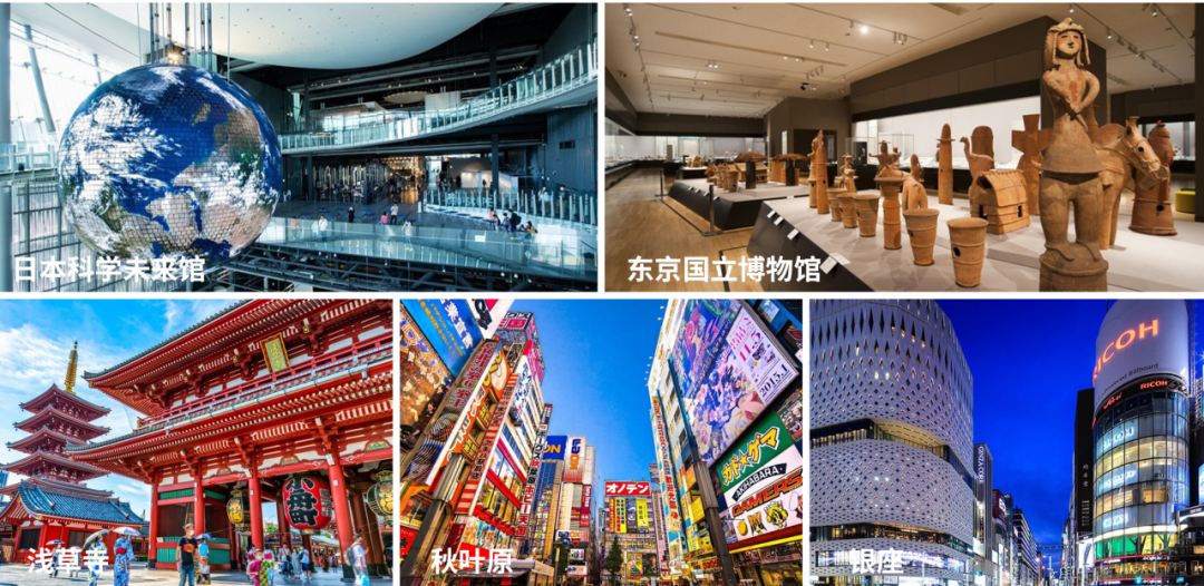 这个寒假，我们想带TICCers去这些地方走走插图29,香港DSE,ALEVEL,上海国际高中,DSE,DSE考试