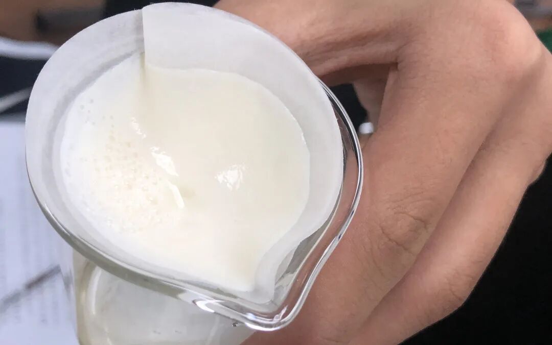 同洲课程 | 来和我们一起”玩蛋”白质吧！插图11,香港DSE,ALEVEL,上海国际高中,DSE,DSE考试