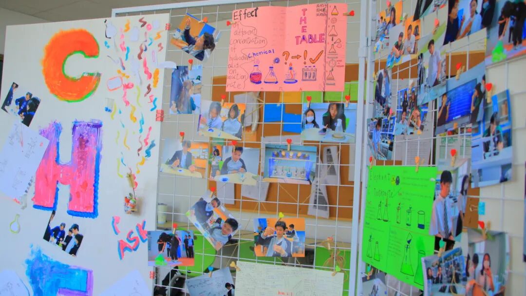 期末汇报展 | 本学期最后一份作业，邀请全校来阅卷插图40,香港DSE,ALEVEL,上海国际高中,DSE,DSE考试