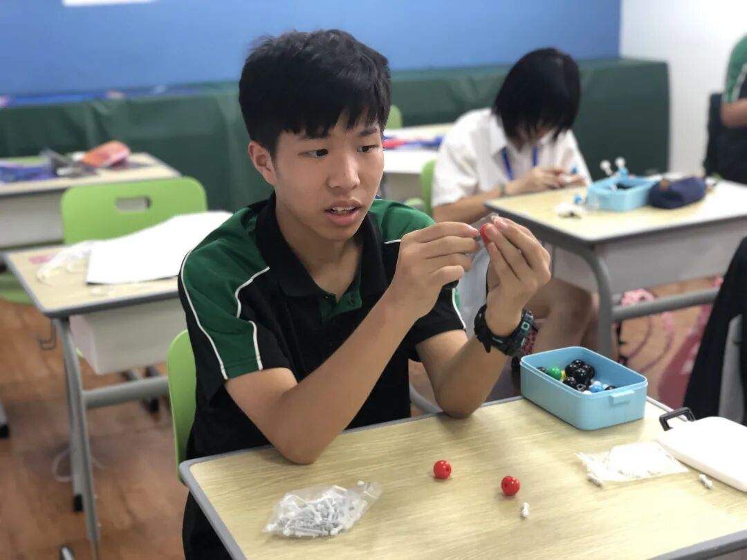 同洲课程 | 来和我们一起”玩蛋”白质吧！插图7,香港DSE,ALEVEL,上海国际高中,DSE,DSE考试