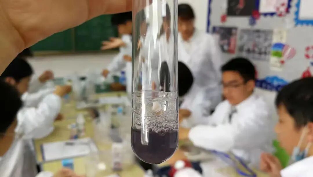 同洲课程 | 来和我们一起”玩蛋”白质吧！插图36,香港DSE,ALEVEL,上海国际高中,DSE,DSE考试