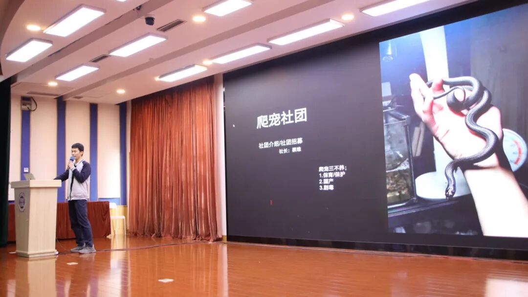 社团招新 | 10大社团C位出道，你Pick哪一个？插图15,香港DSE,ALEVEL,上海国际高中,DSE,DSE考试