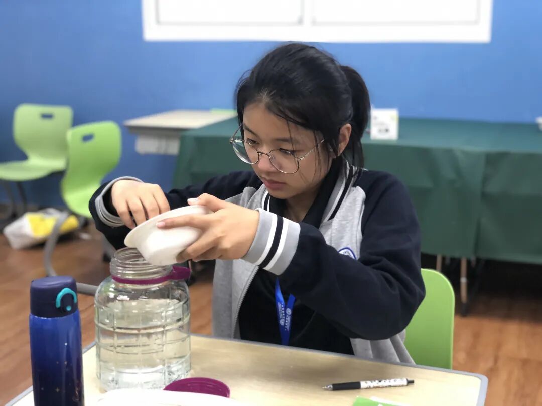 同洲课程 | 来和我们一起”玩蛋”白质吧！插图26,香港DSE,ALEVEL,上海国际高中,DSE,DSE考试