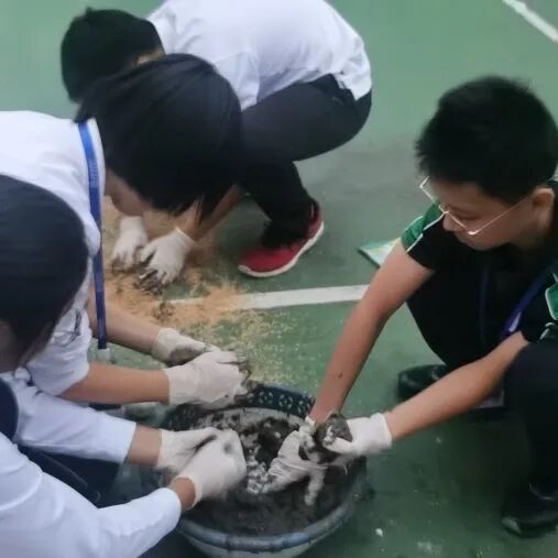 同洲课程 | 来和我们一起”玩蛋”白质吧！插图31,香港DSE,ALEVEL,上海国际高中,DSE,DSE考试