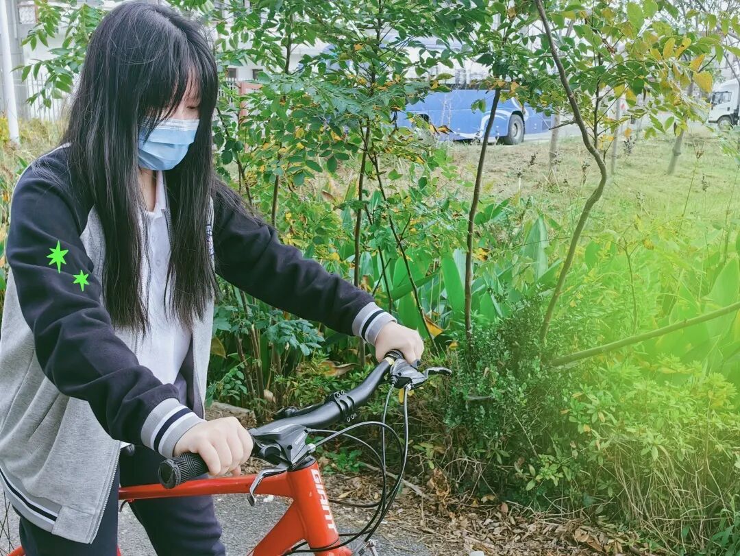 行走世界户外版 | 项目式学习体验 26公里秋季骑行实践插图33,香港DSE,ALEVEL,上海国际高中,DSE,DSE考试