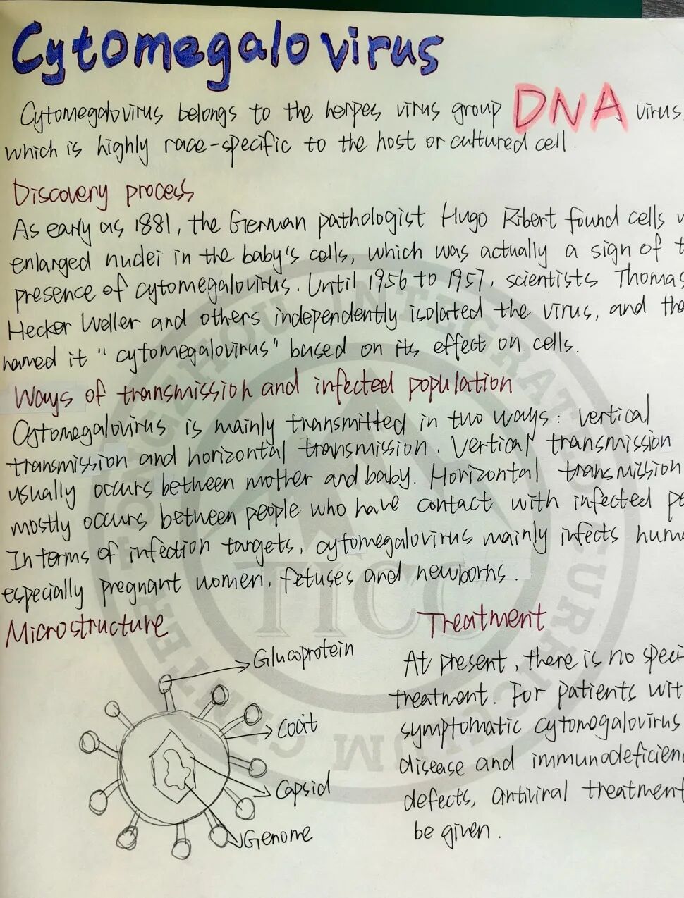生命教育系列（一）当我们谈及生命教育时，我们都探索些什么插图19,香港DSE,ALEVEL,上海国际高中,DSE,DSE考试