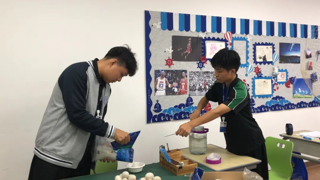 同洲课程 | 来和我们一起”玩蛋”白质吧！插图24,香港DSE,ALEVEL,上海国际高中,DSE,DSE考试