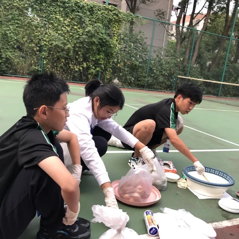 同洲课程 | 来和我们一起”玩蛋”白质吧！插图29,香港DSE,ALEVEL,上海国际高中,DSE,DSE考试