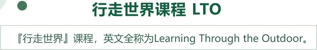 LTTO课堂 | 3448起，3400万，8356万，70%……关乎你我他，一个不容忽视的社会问题插图20,香港DSE,ALEVEL,上海国际高中,DSE,DSE考试