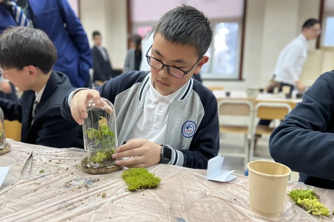 发现栏目 | 今日关键词· 微盆栽：用不一样的方式践行绿色理念插图10,香港DSE,ALEVEL,上海国际高中,DSE,DSE考试