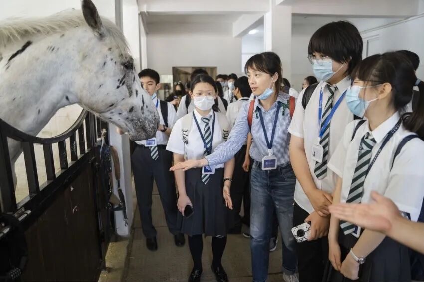 TICC校际交流 | 走访千年古镇边的苏州阿德科特插图39,香港DSE,ALEVEL,上海国际高中,DSE,DSE考试