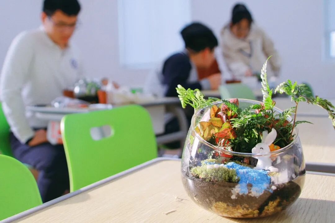 生命教育系列（一）当我们谈及生命教育时，我们都探索些什么插图21,香港DSE,ALEVEL,上海国际高中,DSE,DSE考试
