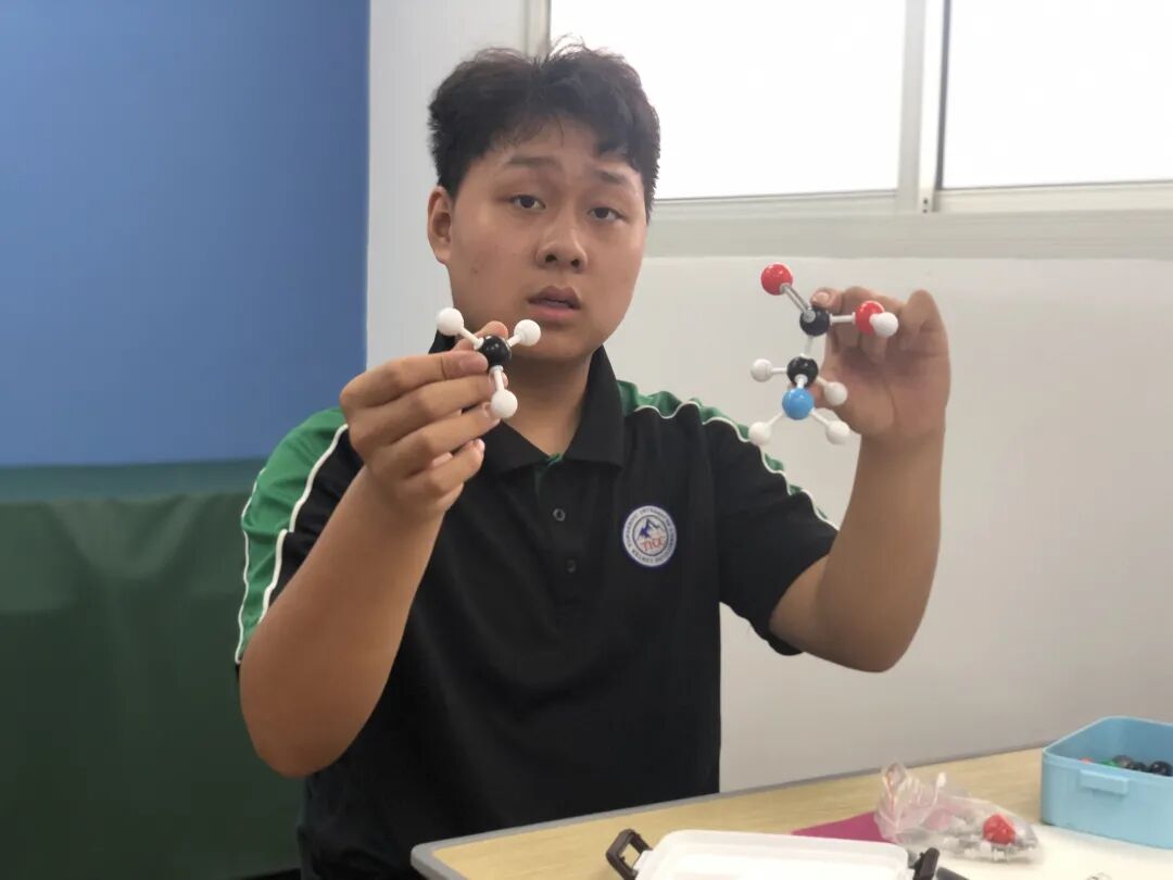 同洲课程 | 来和我们一起”玩蛋”白质吧！插图8,香港DSE,ALEVEL,上海国际高中,DSE,DSE考试