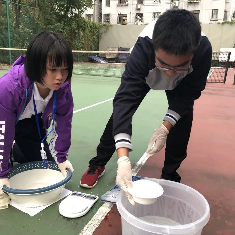 同洲课程 | 来和我们一起”玩蛋”白质吧！插图28,香港DSE,ALEVEL,上海国际高中,DSE,DSE考试