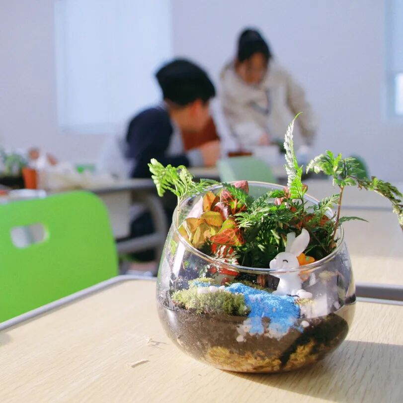 校社联动 | 共推联名款！这几个月，他们干了几件大事插图15,香港DSE,ALEVEL,上海国际高中,DSE,DSE考试