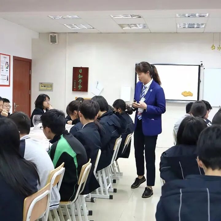 发现栏目 | 今日关键词· 微盆栽：用不一样的方式践行绿色理念插图13,香港DSE,ALEVEL,上海国际高中,DSE,DSE考试