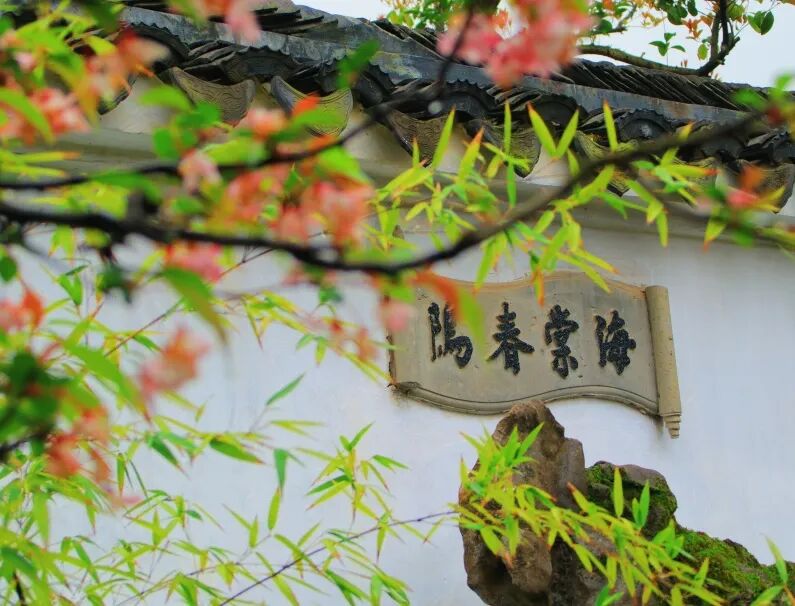 行走世界户外版 | 链接社会，做“问题解决者”—同洲米德中心古镇研学实践插图7,香港DSE,ALEVEL,上海国际高中,DSE,DSE考试
