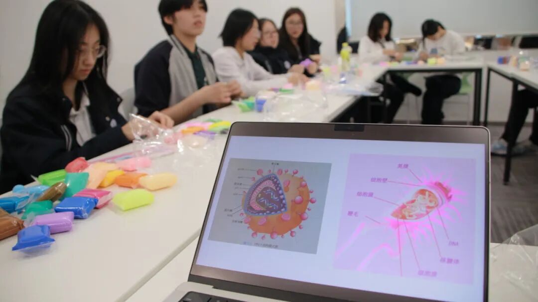 生命教育系列（一）当我们谈及生命教育时，我们都探索些什么插图26,香港DSE,ALEVEL,上海国际高中,DSE,DSE考试