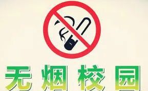 世界无烟日 | 生命怎可被“烟”没！同洲米德中心无烟日主题活动，一起对烟草说不插图14,香港DSE,ALEVEL,上海国际高中,DSE,DSE考试