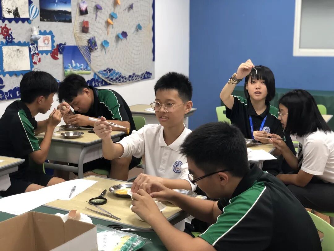同洲课程 | 来和我们一起”玩蛋”白质吧！插图14,香港DSE,ALEVEL,上海国际高中,DSE,DSE考试