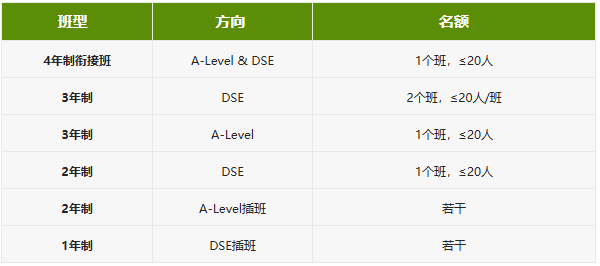费用说明插图,香港DSE,ALEVEL,上海国际高中,DSE,DSE考试