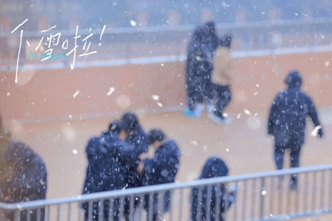 刚刚，这里下雪了！插图,香港DSE,ALEVEL,上海国际高中,DSE,DSE考试