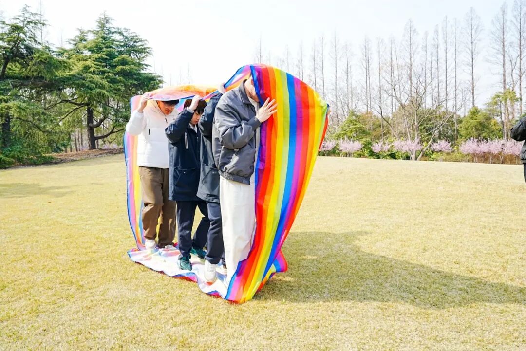 在120公顷的森林里上一堂课，是一种怎样的体验？插图18,香港DSE,ALEVEL,上海国际高中,DSE,DSE考试