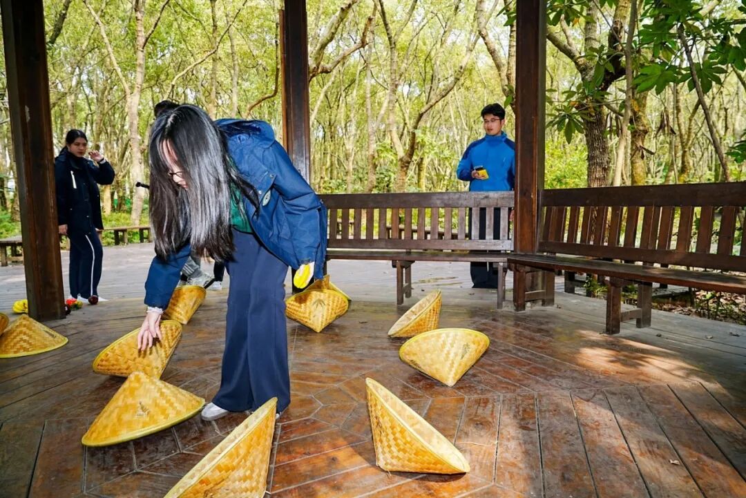 在120公顷的森林里上一堂课，是一种怎样的体验？插图19,香港DSE,ALEVEL,上海国际高中,DSE,DSE考试