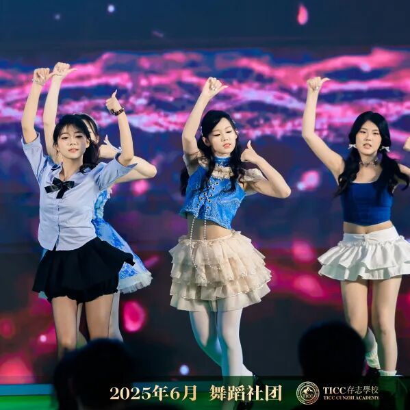 2026年秋季招生简章插图24,香港DSE,ALEVEL,上海国际高中,DSE,DSE考试