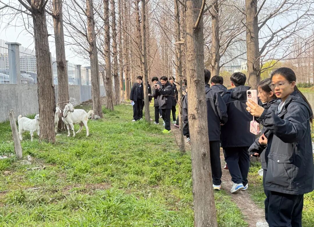 LTTO成果展|水质数据和收款记录,都写进了成绩单插图5,香港DSE,ALEVEL,上海国际高中,DSE,DSE考试 LTTO成果展|水质数据和收款记录,都写进了成绩单插图5,香港DSE,ALEVEL,上海国际高中,DSE,DSE考试